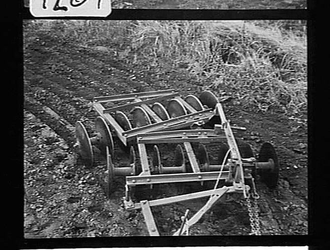 EXP. OFF-SET DISC CULTIVATOR AT WORK IN ORCHARD AT KYABRAM, VIC: JUNE 1943