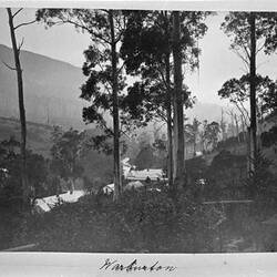 Photograph - 'Warburton', by A.J. Campbell, Upper Yarra, Victoria, 1895