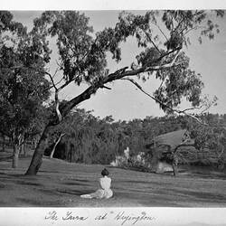 Photograph - 'The Yarra at Heyington', Woman Seated on Grassy Bank under Gum Tree, by A.J. Campbell, Heyington, Burnley, Victoria, circa 1895