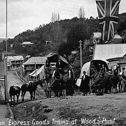 Negative - Woods Point, Victoria, 1913