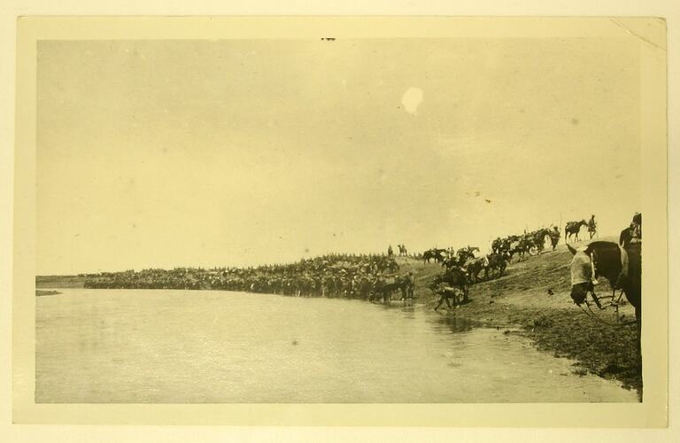 Soldiers with artillery of horses drinking from a river.