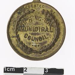 Round bronze medal with text in centre and wreath surrounding.