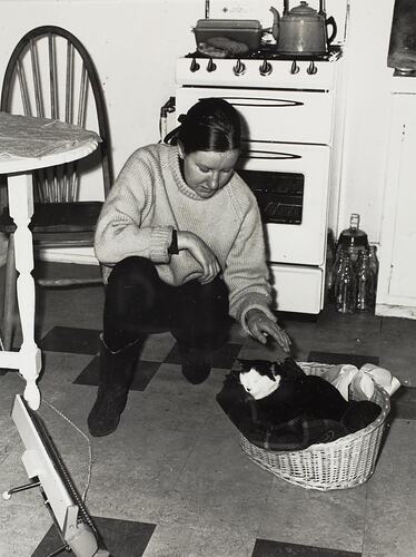Digital Photograph - Woman Patting Cat in Basket, Kitchen, Prahran East, 1966