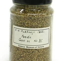 Seed Sample - Pearl Millet, Pennisetum typhoideum, India, 1880s