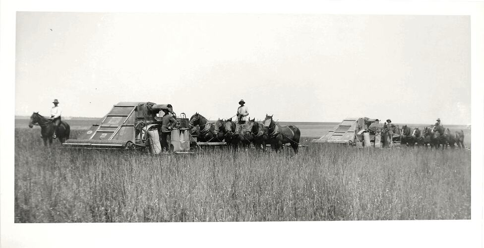 Photograph - Two Sunshine Harvesters in a Field