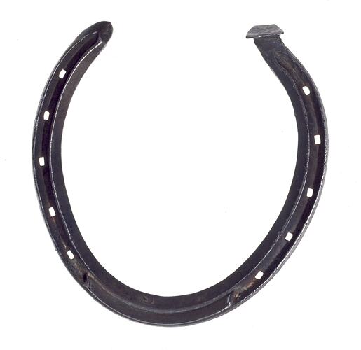 Metal horse shoe.