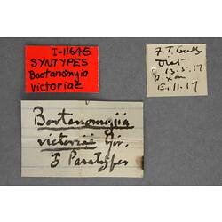 Handwritten specimen labels.