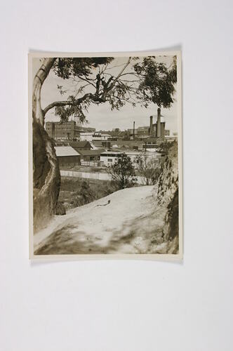 Photograph - View of Factory Site and Market Gardens from River Bank, Kodak, Abbotsford, 1940s