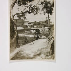 Photograph - Kodak Australasia Pty Ltd, View of Kodak Factory Site & Market Gardens from River Bank, Abbotsford, Victoria, circa 1940s