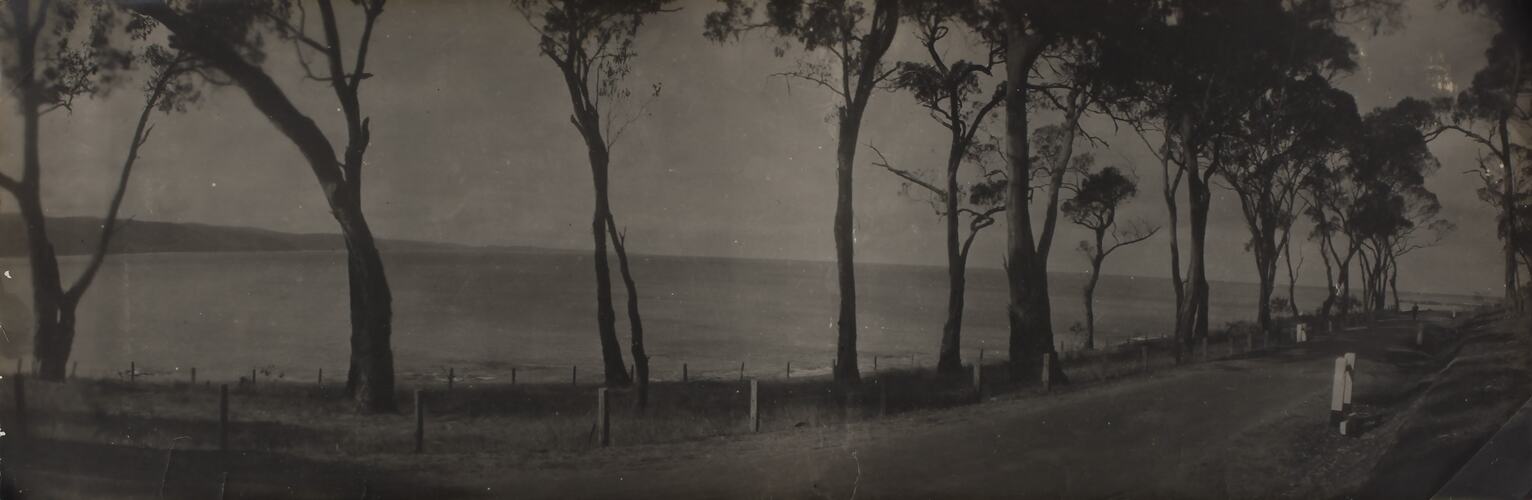 Photograph - Coastal Landscape, Lorne District, Victoria, circa 1920s