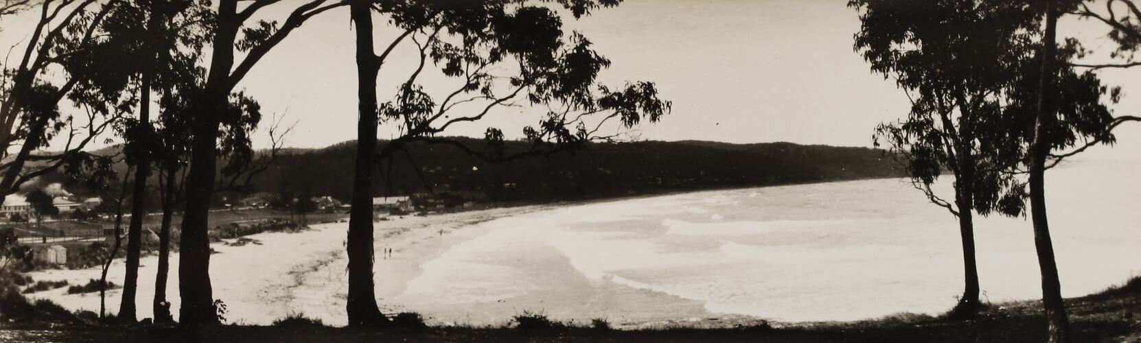 Photograph - Coastal Landscape, Lorne, Victoria, circa 1920s