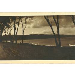Photograph - Great Ocean Road, Lorne, Victoria, circa 1920