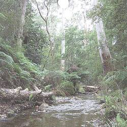 Pamphlet - 'Map & Visitor Guide Yea & Kinglake Ranges',Tourism Victoria, Victoria, before Feb 2009