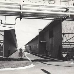 Photograph - Kodak Australasia Pty Ltd, Roll Film & Emulsion Coating Buildings, Kodak Factory, Coburg, 1960