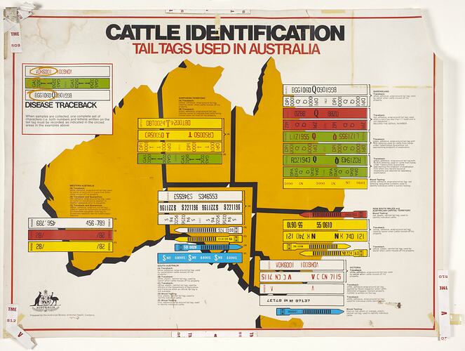 Chart - Cattle Identification, Newmarket Saleyards, Newmarket, pre 1987