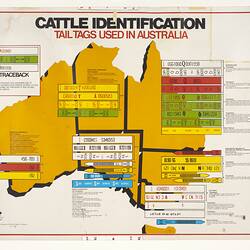 Chart - Cattle Identification, Newmarket Saleyards, Newmarket, circa 1974-1987