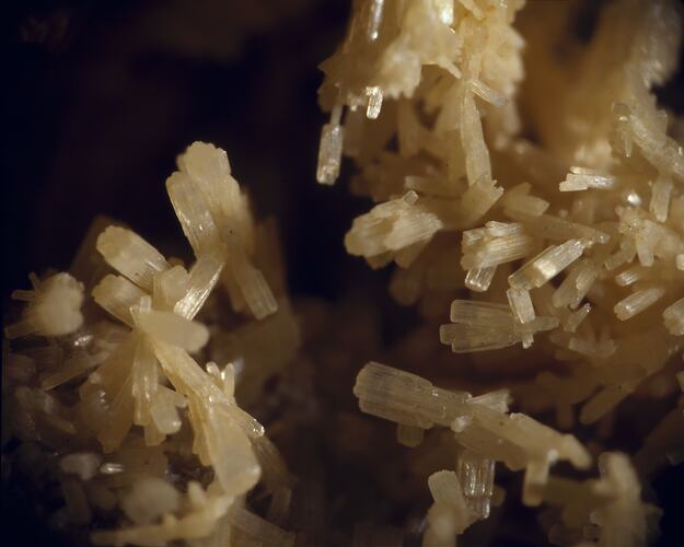 Needle-like creamy-yellow crystals.