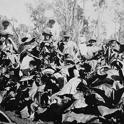 Negative - Tobacco Crop on 'Wyadra' Farm, Tarrawingee, Victoria, circa 1930