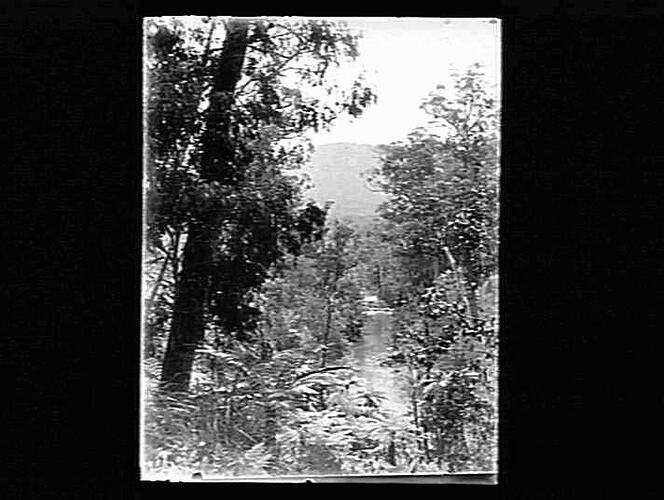 Negative - Glass