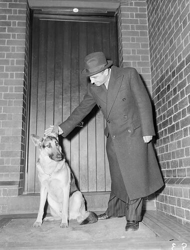 Portrait of a Man with a Dog, Melbourne, Victoria, 1953
