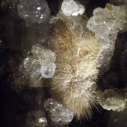 Detail view of a clump of spindly pale crystals amongst larger white crystals.