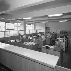 Bowater Paper Co, Workers in Office, Melbourne, Victoria, Nov 1954