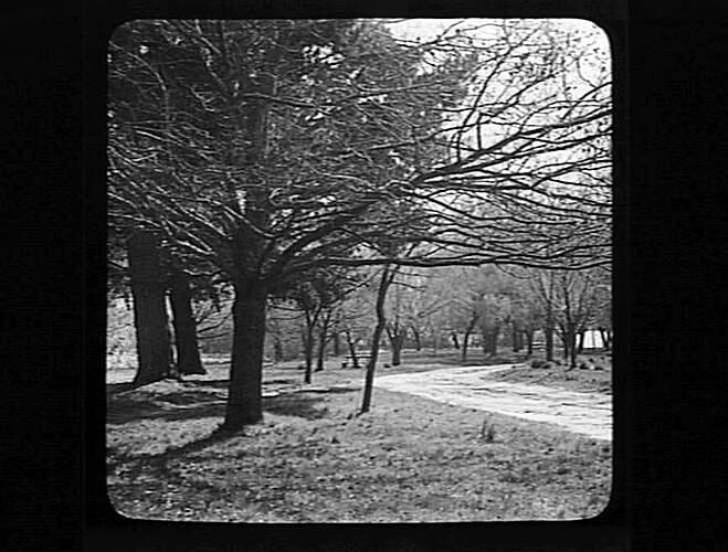 Lantern Slide