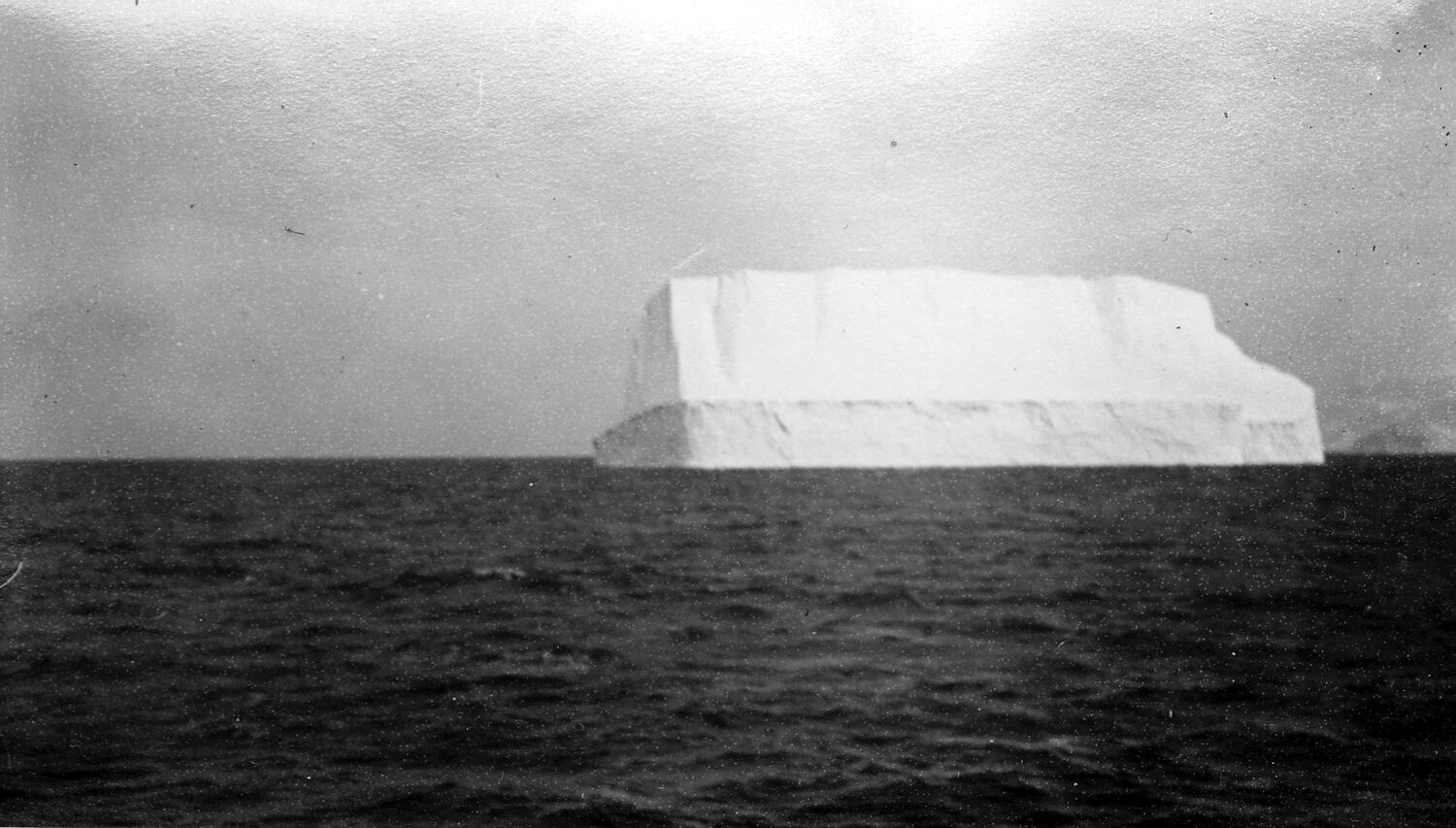 Photograph - by George Rayner, South Georgia, Dec 1932