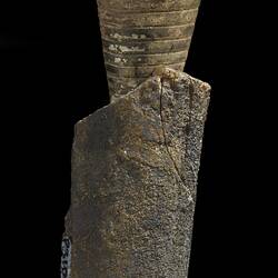 Cone-shaped belemnite fossil.