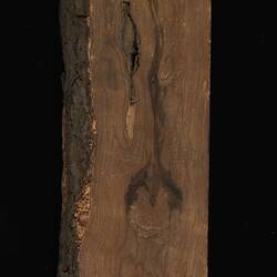 Timber Sample - Grey Mangrove, Avicennia marina, Victoria, 1885 (Reverse)