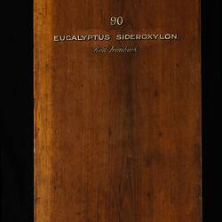 Timber Sample - Red Ironbox, Eucalyptus sideroxylon, Victoria, 1885