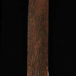 Timber Sample - Tree Hakea, Hakea eriantha, Victoria, 1885