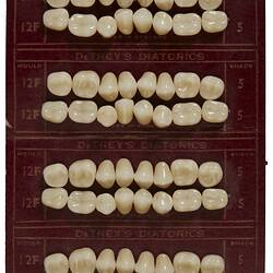 Four sets of white teeth on maroon card with gold text. Each set has two rows of eight.