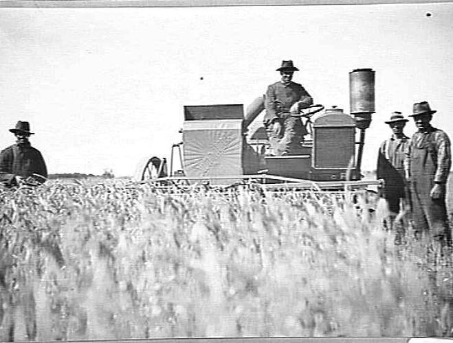 12 FT. MOTOR HEADER AT WORK AT SYDENHAM: JAN 1925