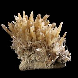 Cluster of flat, straight, creamy crystals.