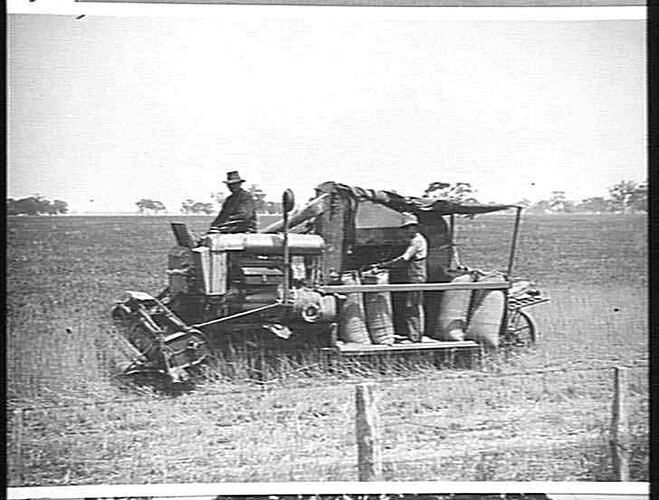 "AUTO HEADER AT WORK ON LYNAS BROS. FARM, CHARLTON: DEC 1926"