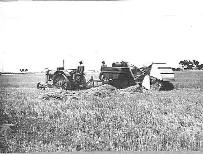 "`SUNDUMP' CHAFF SAVER AT WORK IN CROP AT THE BACK OF THE FACTORY: DEC 1927."