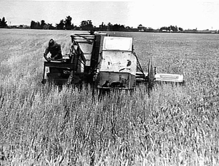 Photograph H.V. McKay Massey Harris, Farm Equipment Manufacture