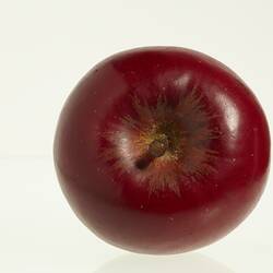 Wax model of an apple with stem, painted dark red, with brown stem. Top view.