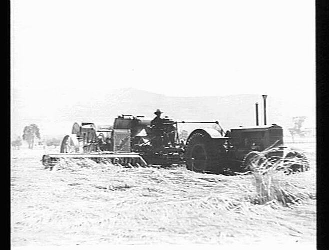 Photograph Hv Mckay Massey Harris Farm Equipment Manufacture And Field Trials Gunnedah New