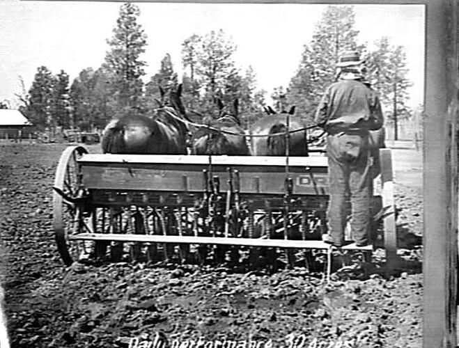 SUNSHINE DRILL AT WORK ON TURNER BROS. FARM, COOLOMON, NSW: DAILY PERFORMANCE, 30 ACRES