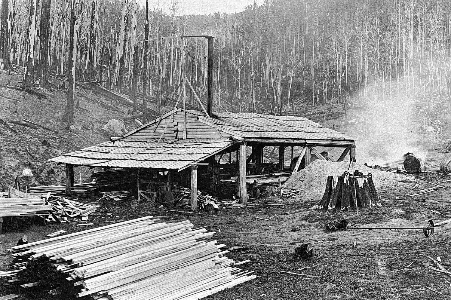 Negative Sawmill, Tasmania, circa 1885