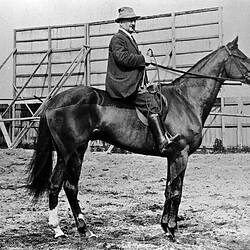 Negative - Gus Powell on his racehorse 'Mosstrooper', circa 1920