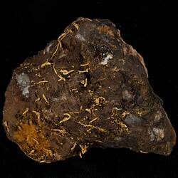 Brown rock with worm-shaped gold pieces throughout.