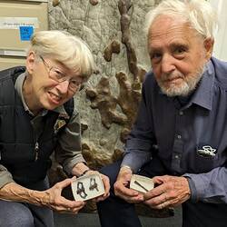 Two older people with white hair hold small boxes of fossils.