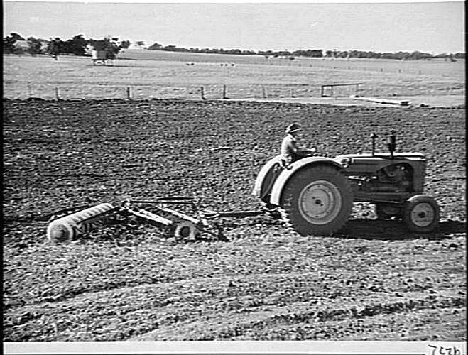 IN THE SAME AREA AS PHOTOGRAPH NO. 379. IT WILL BE NOTICED THAT THE SECOND WORKING WITH THE `SUNMASTER' HAS DISPOSED OF THE STUBBLE, AND THAT THIS IMPLEMENT LEAVES A GOOD SURFACE WITHOUT RIDGING: APR 1950