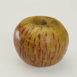 Wax apple model. Red yellow with red streaks.