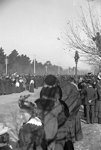 Stereograph - Glass, Western Australian Mounted Rifles, Federation Celebrations, 1901