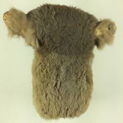 Back of fluffy grey toy koala.