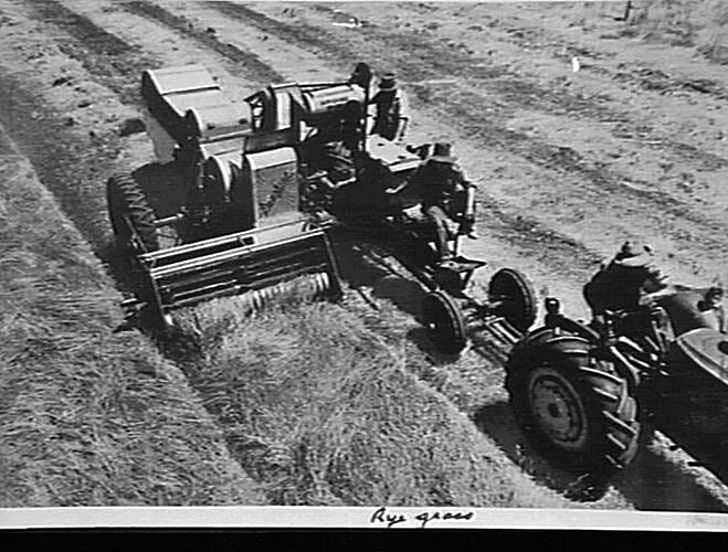 Photograph - H. V. McKay factory and/or equipment